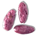 huila seed