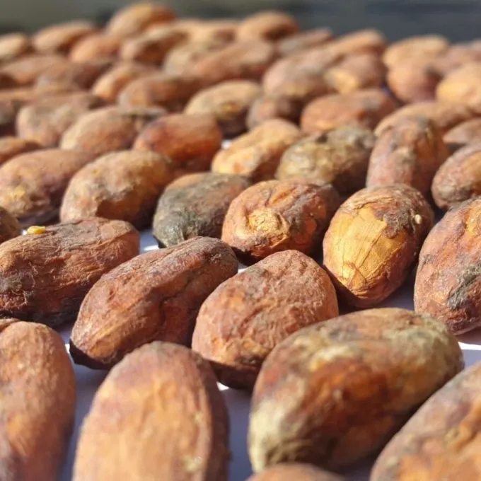Huila Fino Cocoa