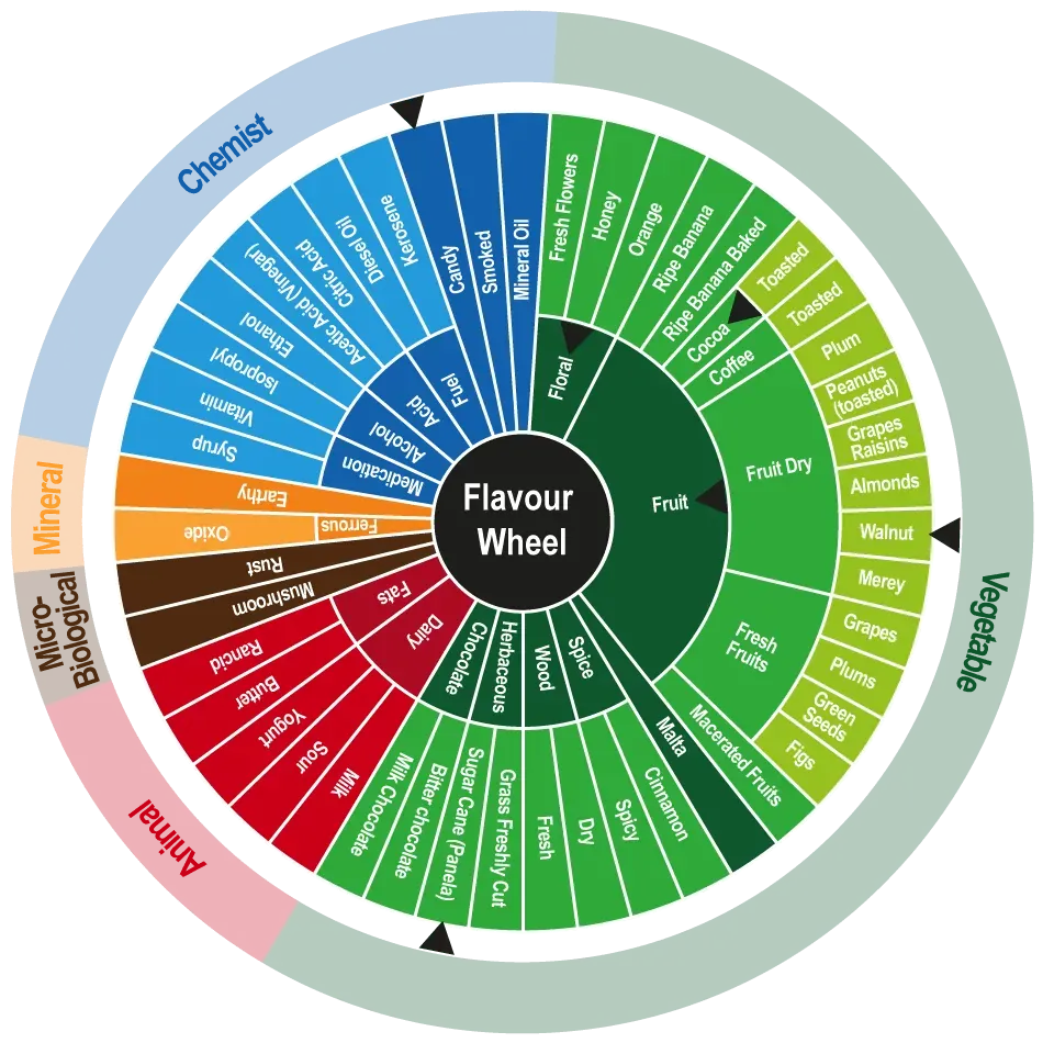 Cocoa Flavor Wheel